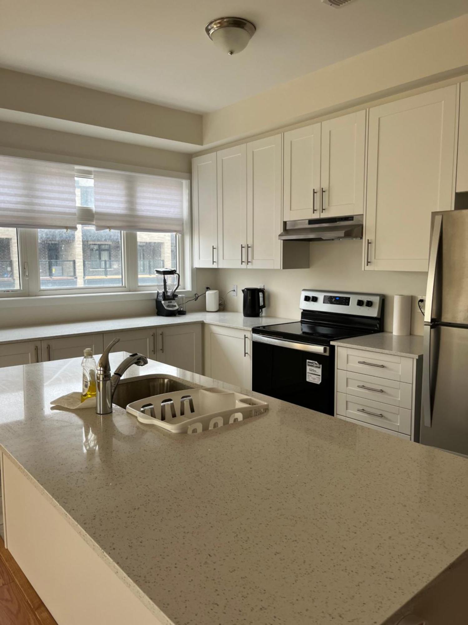 Luxury Brand New Townhouse In Milton Ontario Apartment Luaran gambar